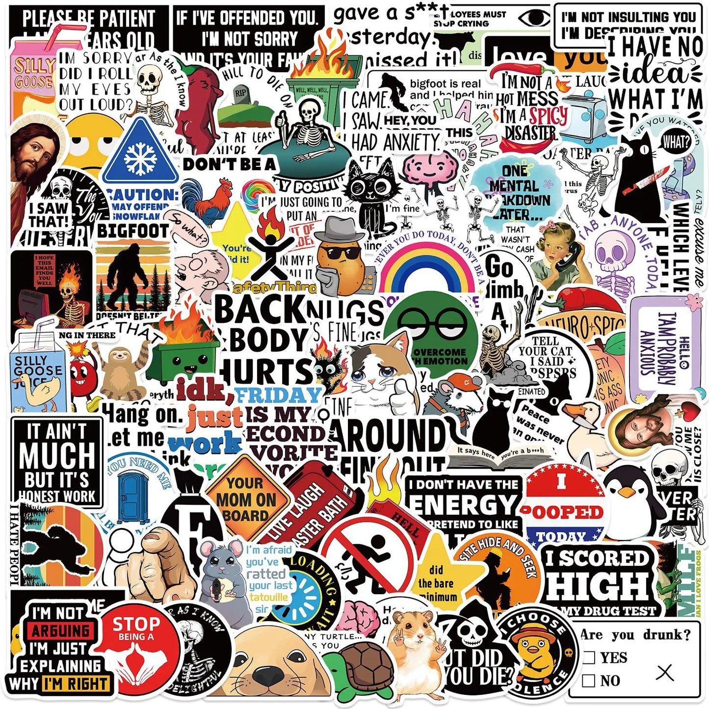 100Pcs Cartoon Snarky MEME Stickers