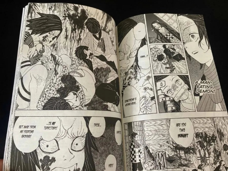 Anime Demon Slayer Volumes In English