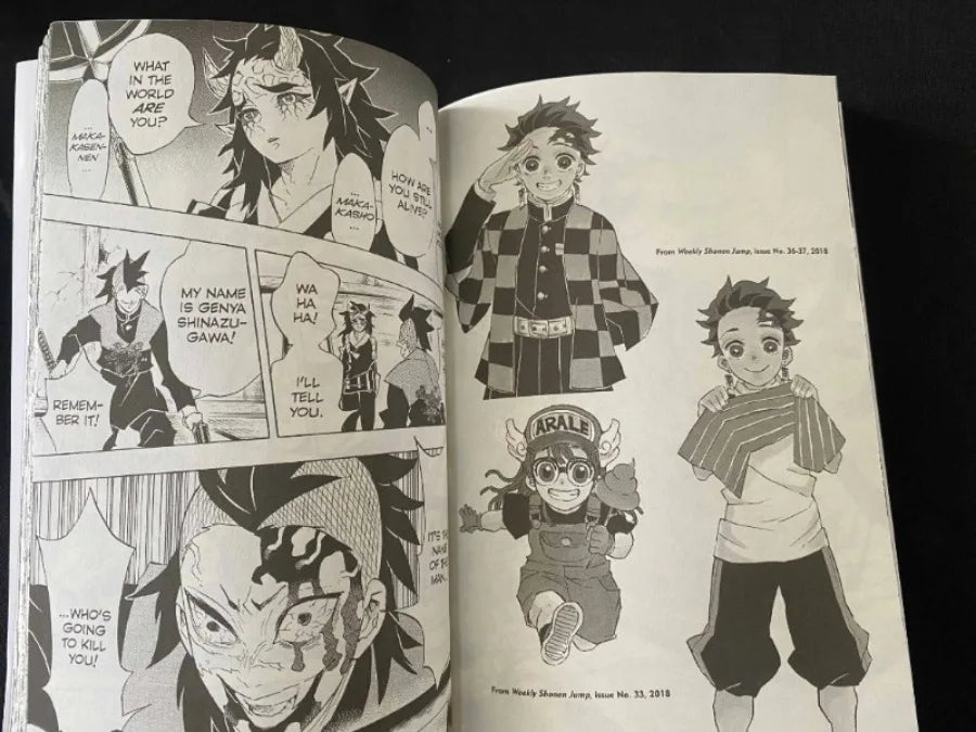 Anime Demon Slayer Volumes In English