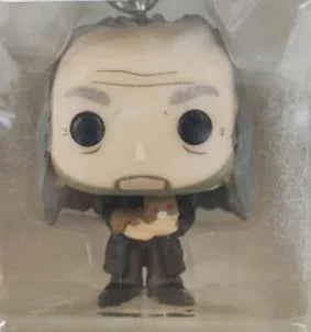 Funko Pop Harry Potter Universe Keychain